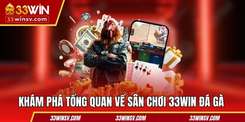 Khám phá tổng quan về sân chơi 33WIN đá gà
