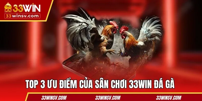 Top 3 ưu điểm của sân chơi 33WIN đá gà